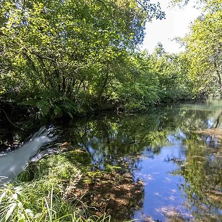 Riba Rio - Unique Nature Spot ホテル