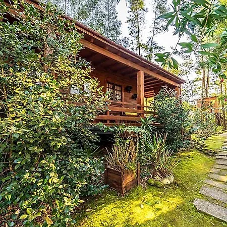 Riba Rio - Unique Nature Spot *