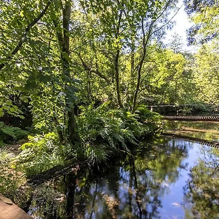 Riba Rio - Unique Nature Spot ホテル *
