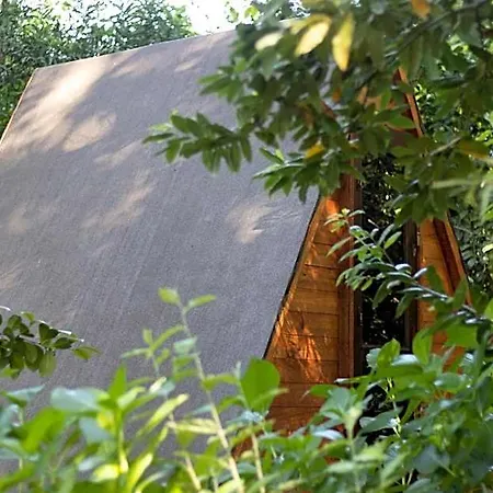ホテル Riba Rio - Unique Nature Spot