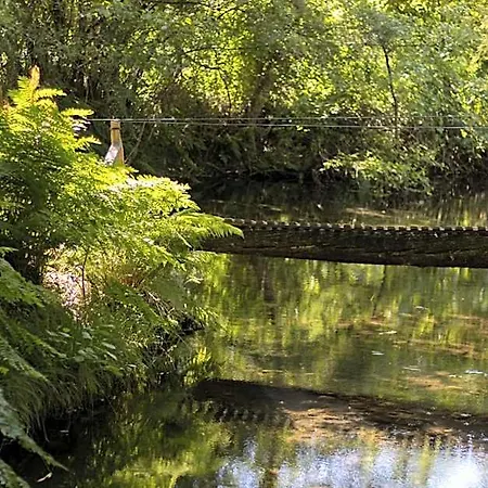 Riba Rio - Unique Nature Spot * Cepões