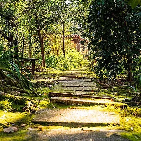 Riba Rio - Unique Nature Spot * Cepoes