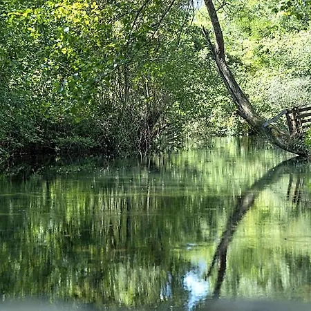 Hotel Riba Rio - Unique Nature Spot *